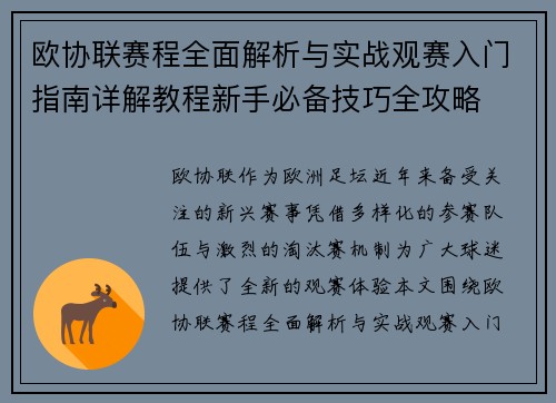 欧协联赛程全面解析与实战观赛入门指南详解教程新手必备技巧全攻略